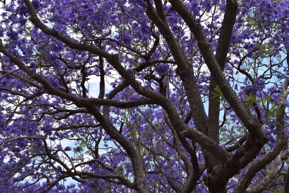 Its bark is worse than its bite ... ok I'll see myself out here 