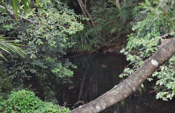 The view from my cabin