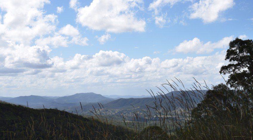 Witta stunning one day, perfect the next