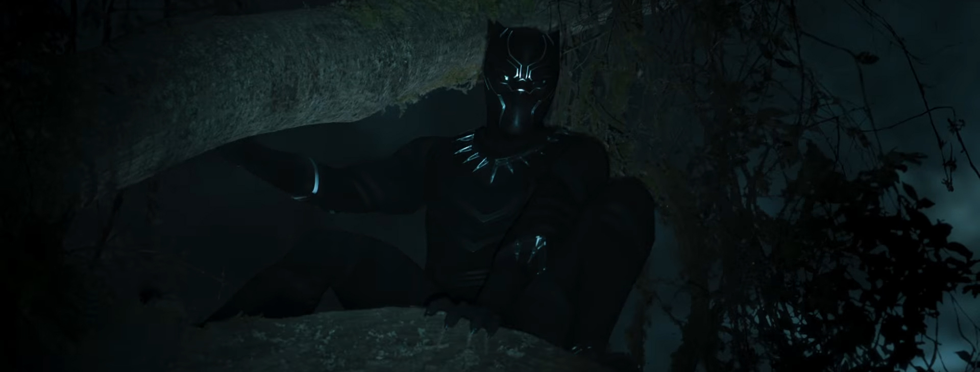 Black Panther banner