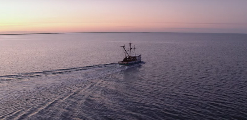 TV Review – Ugly Delicious: Season One | TL;DR Movie Reviews and Analysis