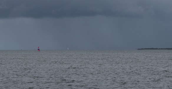 There are braver people in the world than me