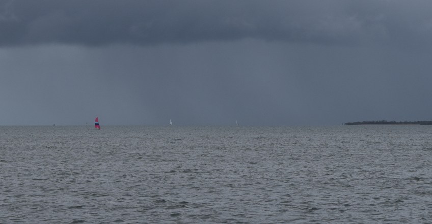 There are braver people in the world than me