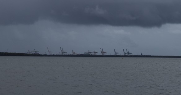 I for one welcome our new giraffe overlords