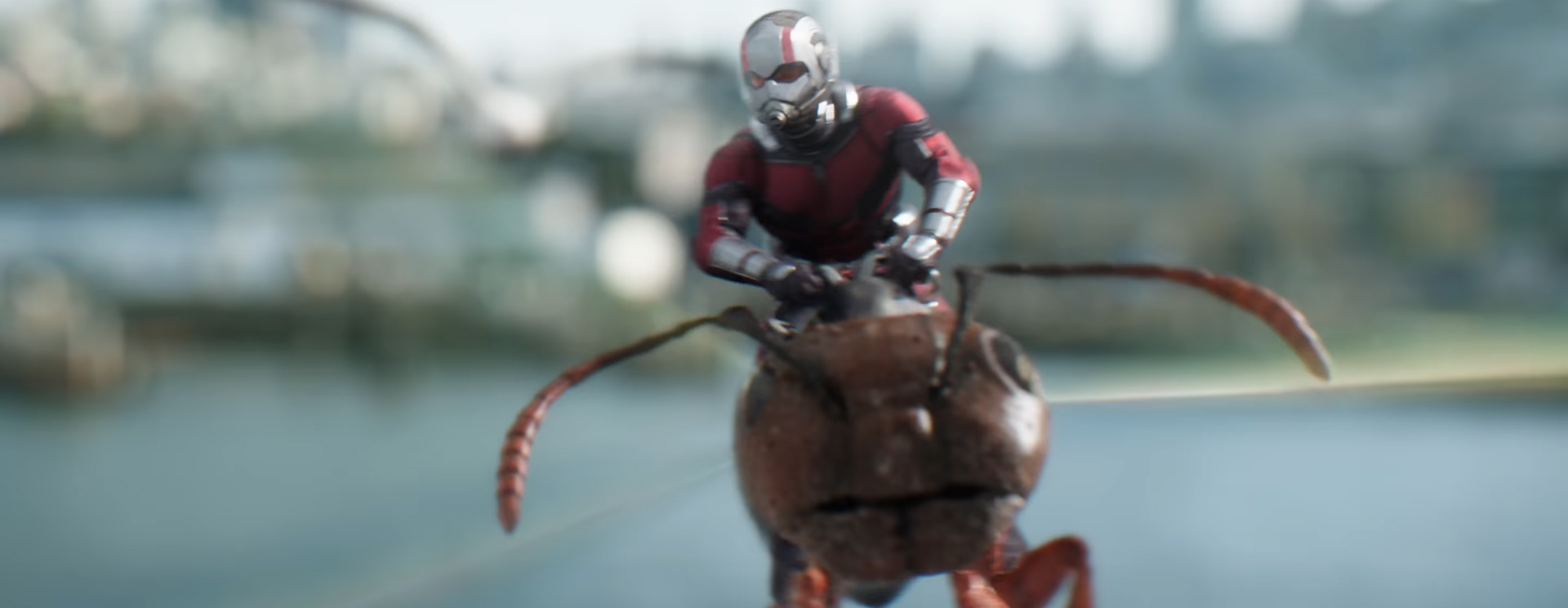 Ant-Man and the Wasp. Image Credit: Marvel/Disney
