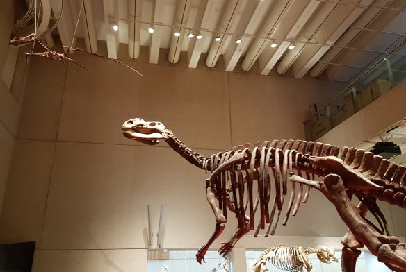 Muttaburrasaurus, Diprotodons, and Pterosaurs, Oh My. Image Credit: Queensland Museum/Brian MacNamara