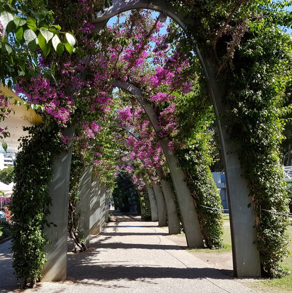 Southbank's Bougainvillea Arch. Image Credit: Brian MacNamara