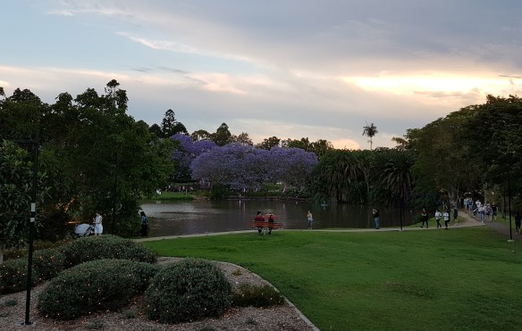 The University of Queensland Bloom Festival. Image Credit Brian MacNamara