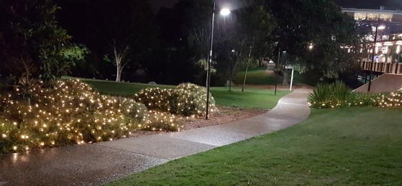 Follow the fairy lights to the purple realm. Image Credit: Brian MacNamara