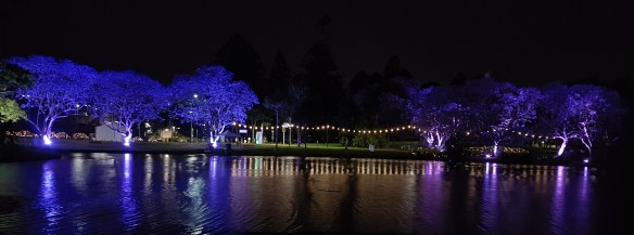 UQ Lakes at Night all lit up. Image Credit: Brian MacNamara
