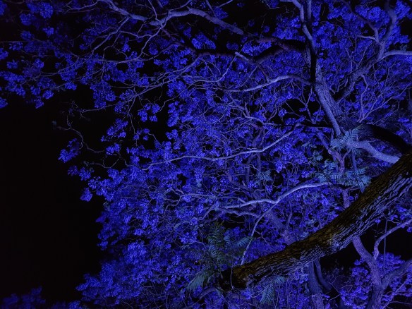 The night sky it lit up in every shade of purple. Image Credit: Brian MacNamara