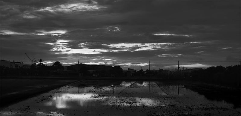 The Taiwanese landscape. The Great Buddha+. Image Credit: MandarinVision