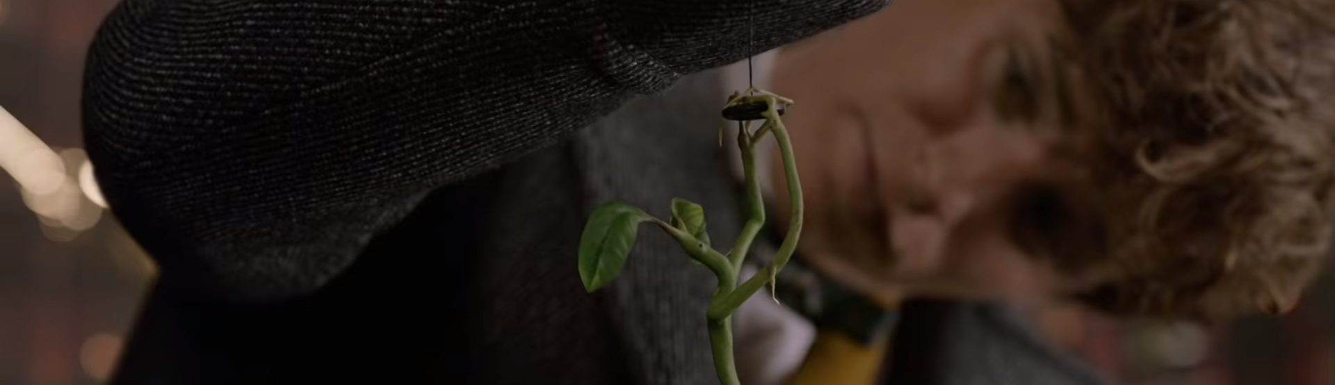 Fantastic Beasts The Crimes of Grindelwald. Image Credit: Warner Brothers