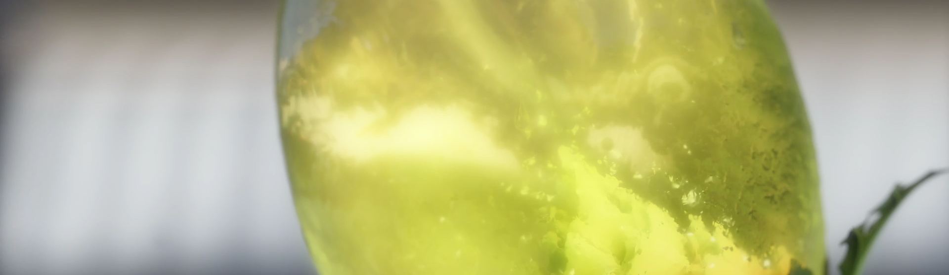 Bloom. Image Credit: Stan.