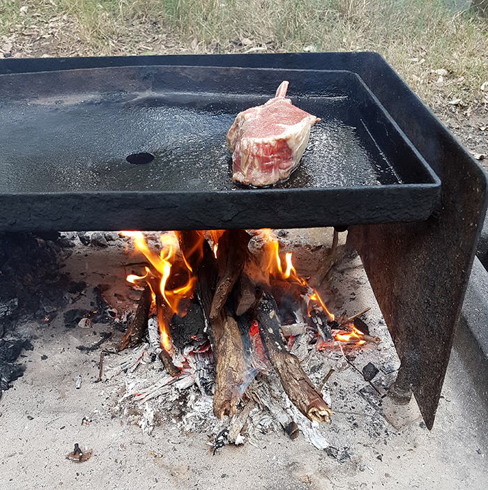 Daisy Hill Conservation Park & Koala Centre. Image Credit: Brian MacNamara
