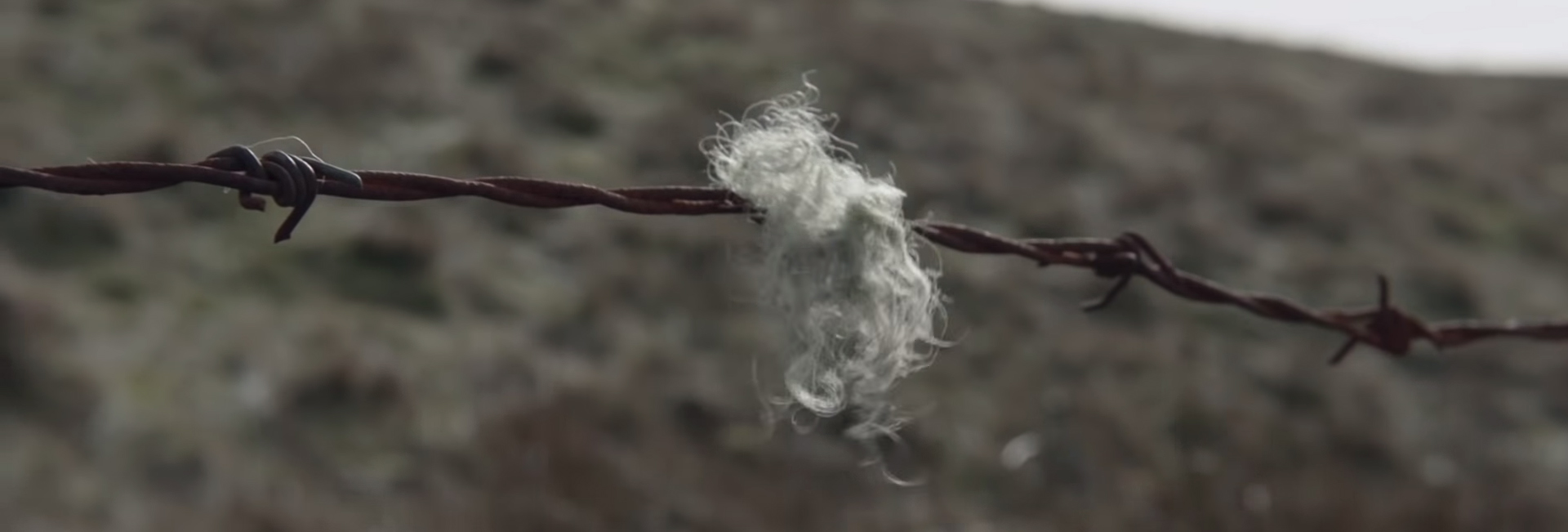 God's Own Country. Image Credit: British Film Institute.