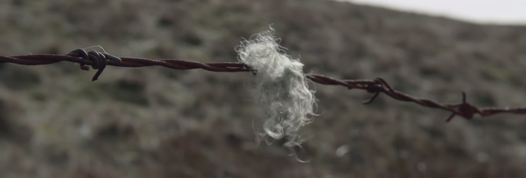 God's Own Country. Image Credit: British Film Institute.