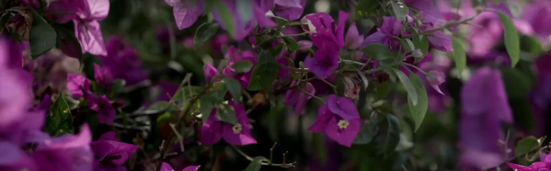 No One Will Ever Know (Nadie Sabrá Nunca). Image Credit: Netflix.