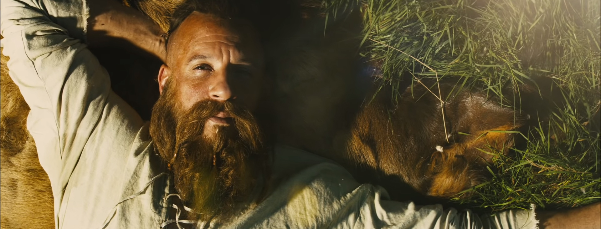 The Last Witch Hunter. Image Credit: Summit Entertainment.