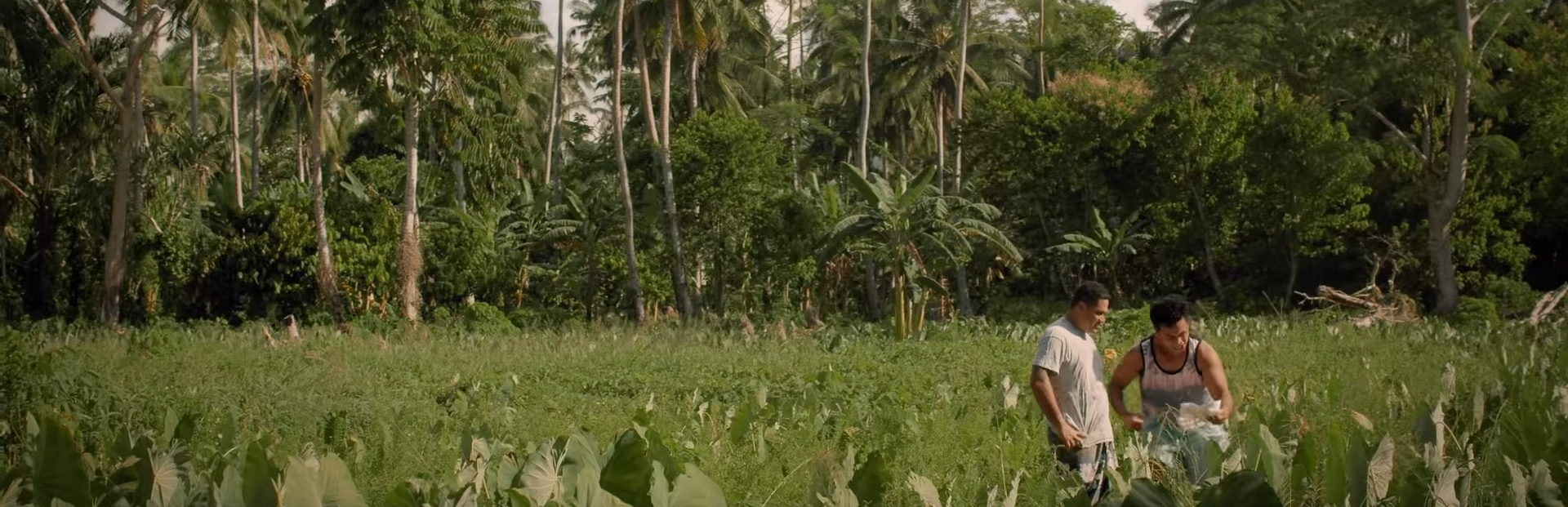 Take Home Pay. Image Credit: M2S1 Films.