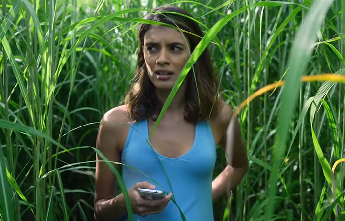 In the Tall Grass. Image Credit: Netflix. 