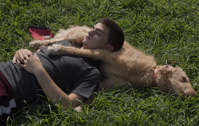 Diecisiete (Seventeen). Image Credit: Netflix.