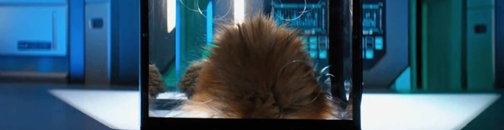 Star Trek Short Treks: The Trouble with Edward. Image Credit: CBS Studios.