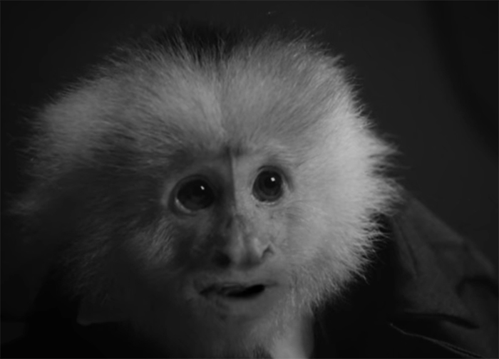 What Did Jack Do?. Image Credit: Netflix.