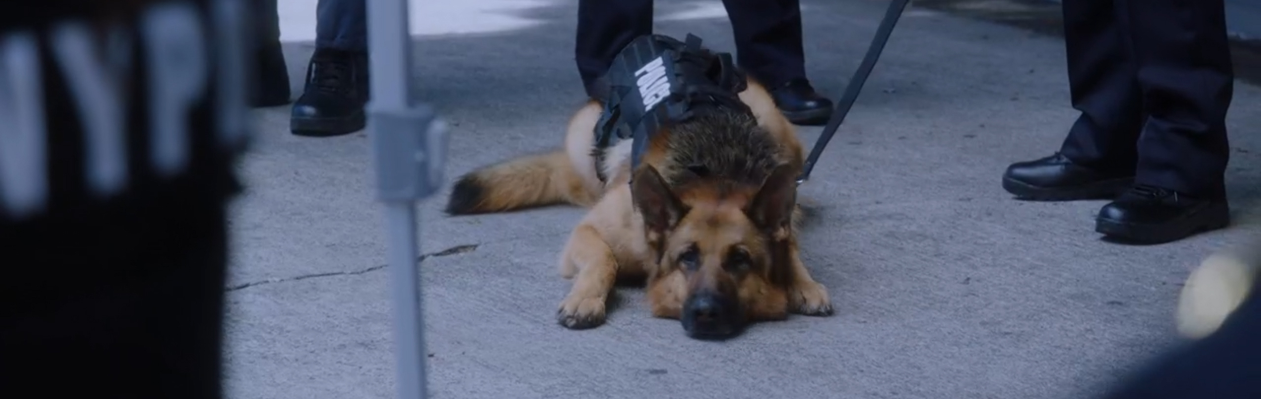 Brooklyn Nine-Nine: Manhunter. Image Credit: NBC.