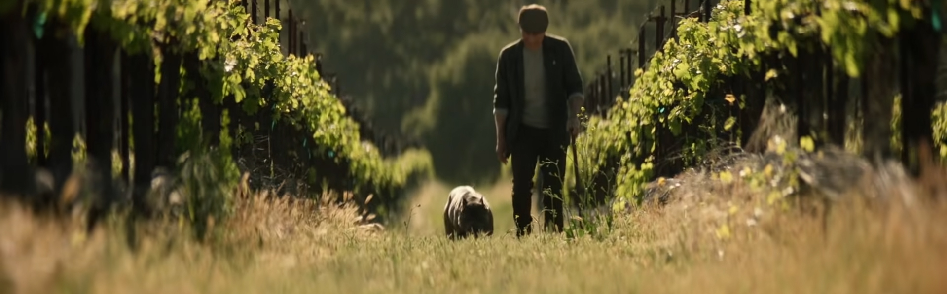 Star Trek: Picard – Remembrance. Image Credit: CBS Studios.