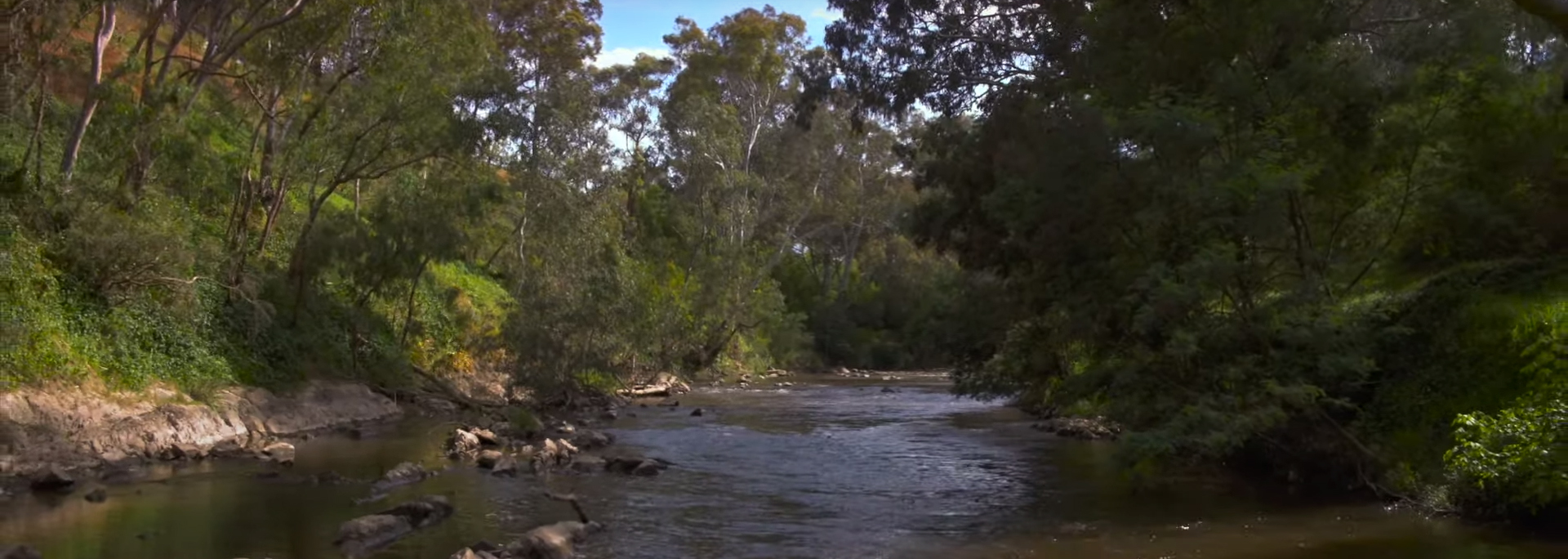 Bloom: Season Two. Image Credit: Stan.