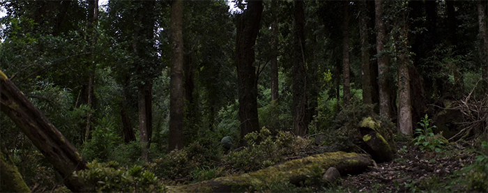 Nobody Knows I'm Here (Nadie Sabe Que Estoy Aquí). Image Credit: Netflix. 