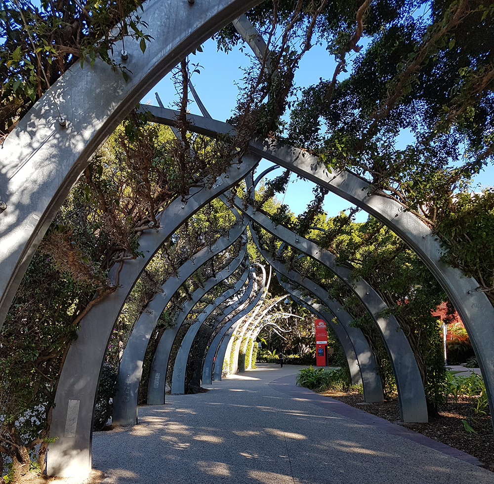 Southbank's Arbour Walk. Image Credit: Brian MacNamara.