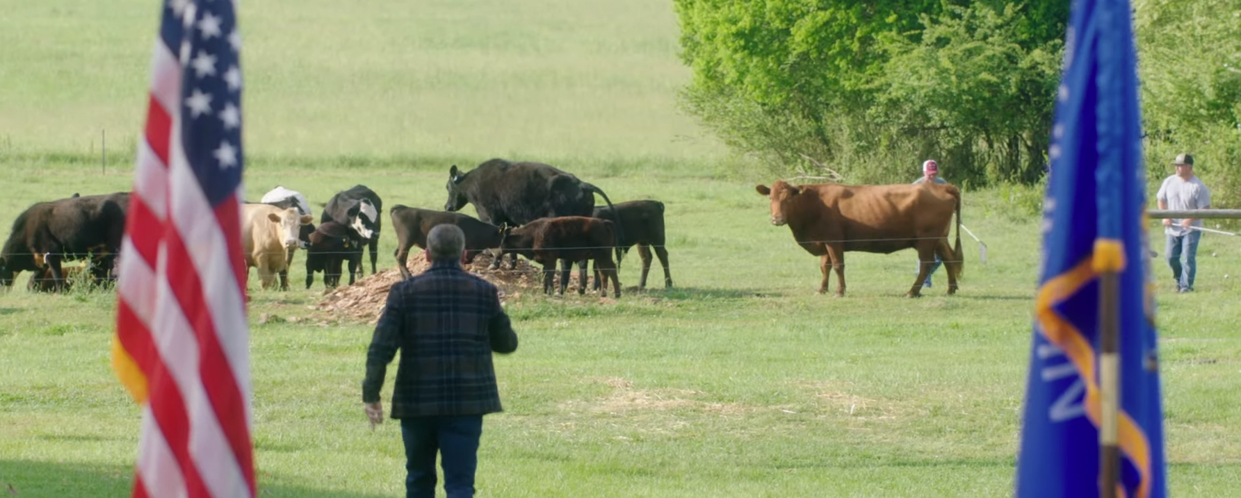 Irresistible. Image Credit: Universal Pictures.