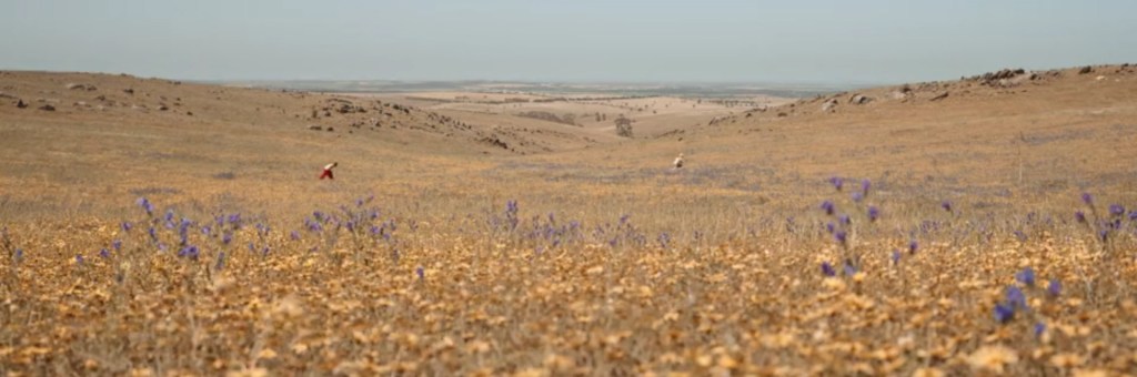 A Sunburnt Christmas. Image Credit: Stan.