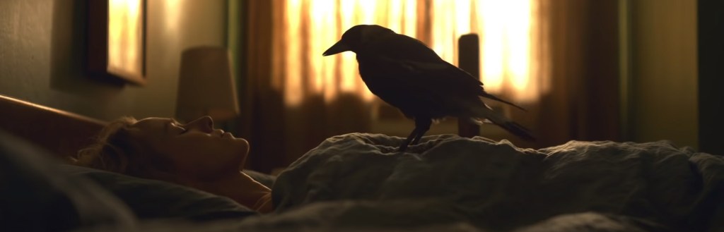 Penguin Bloom. Image Credit: Roadshow Films.