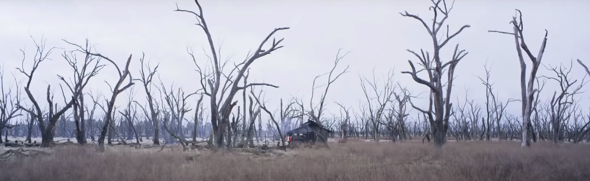 True History of the Kelly Gang. Image Credit: Stan.