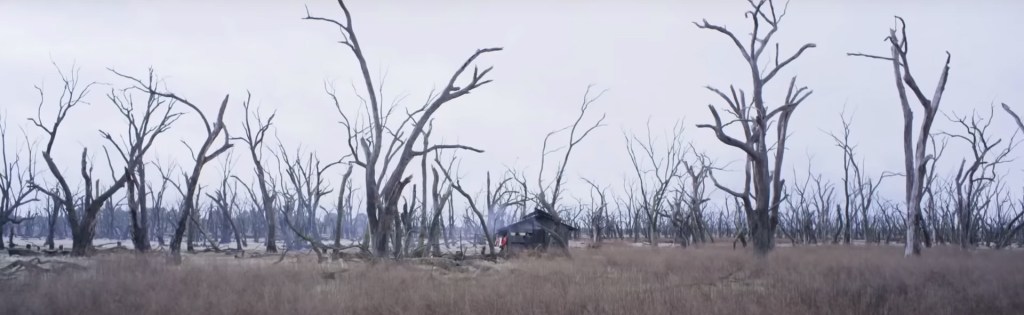 True History of the Kelly Gang. Image Credit: Stan.