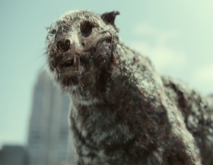 Army of the Dead. Image Credit: Netflix.