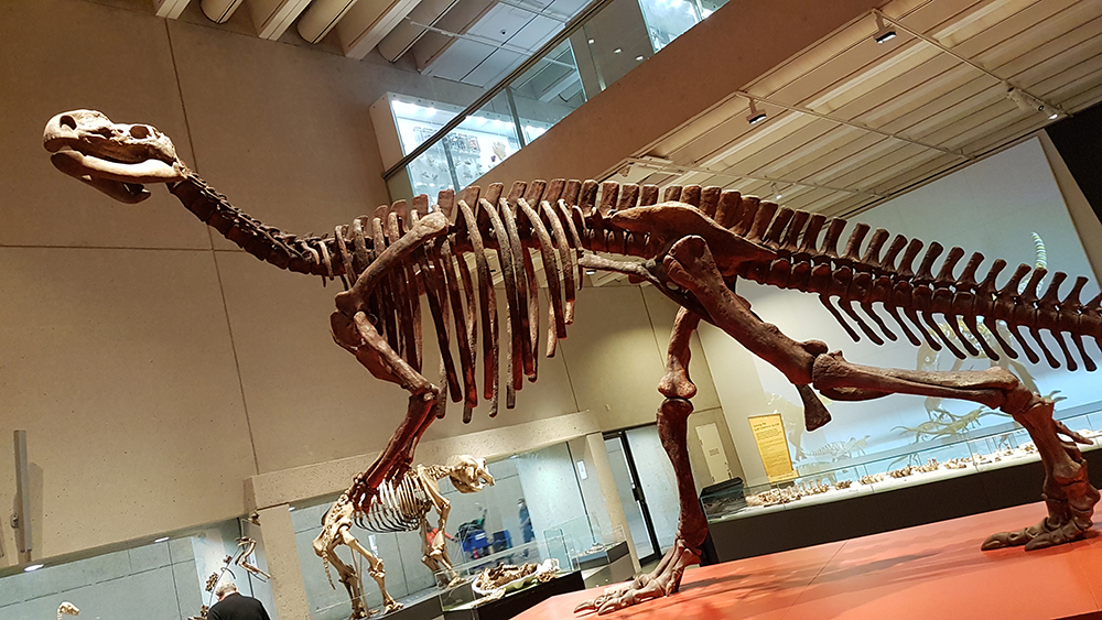 Image by Brian MacNamara