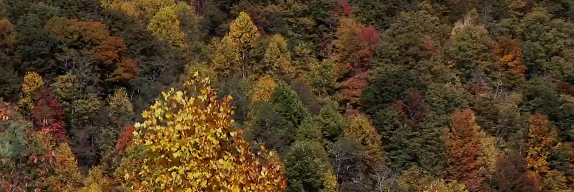 Brooklyn Nine-Nine: The Lake House. Image Credit: NBC Studios.