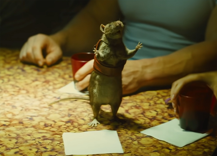 The Suicide Squad. Image Credit: Warner Brothers Pictures.