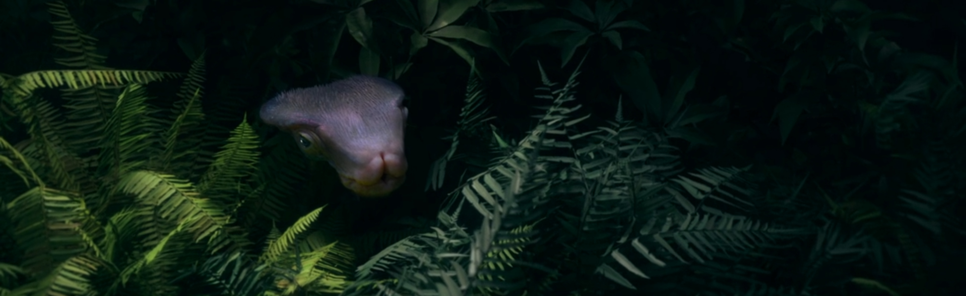 The Expanse: Strange Dogs. image Credit: Amazon Studios.