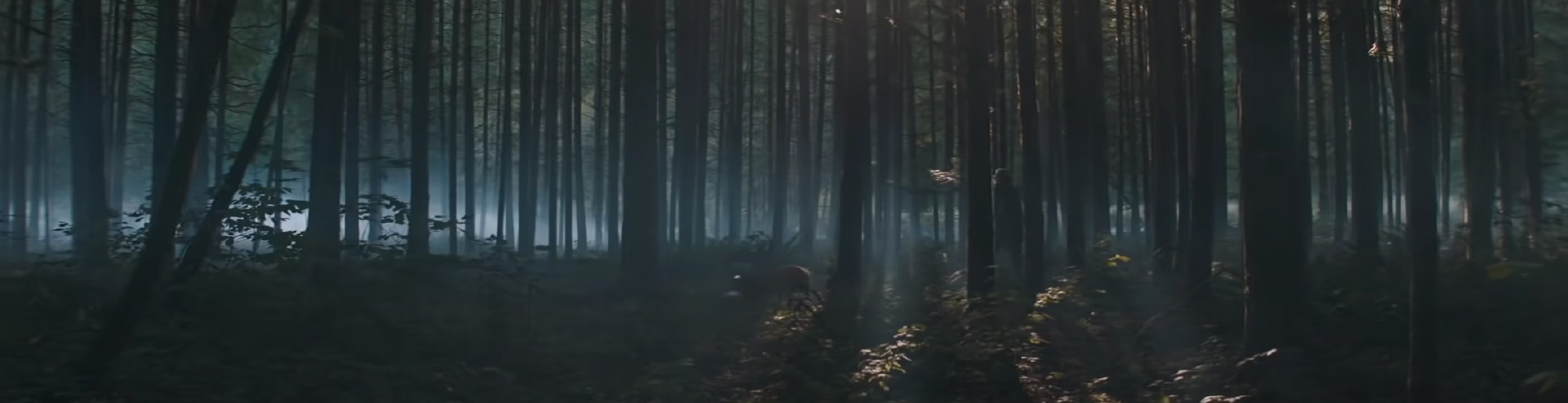 Pig. Image Credit: Madman Films.