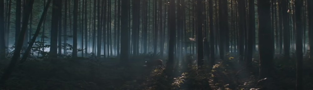 Pig. Image Credit: Madman Films.