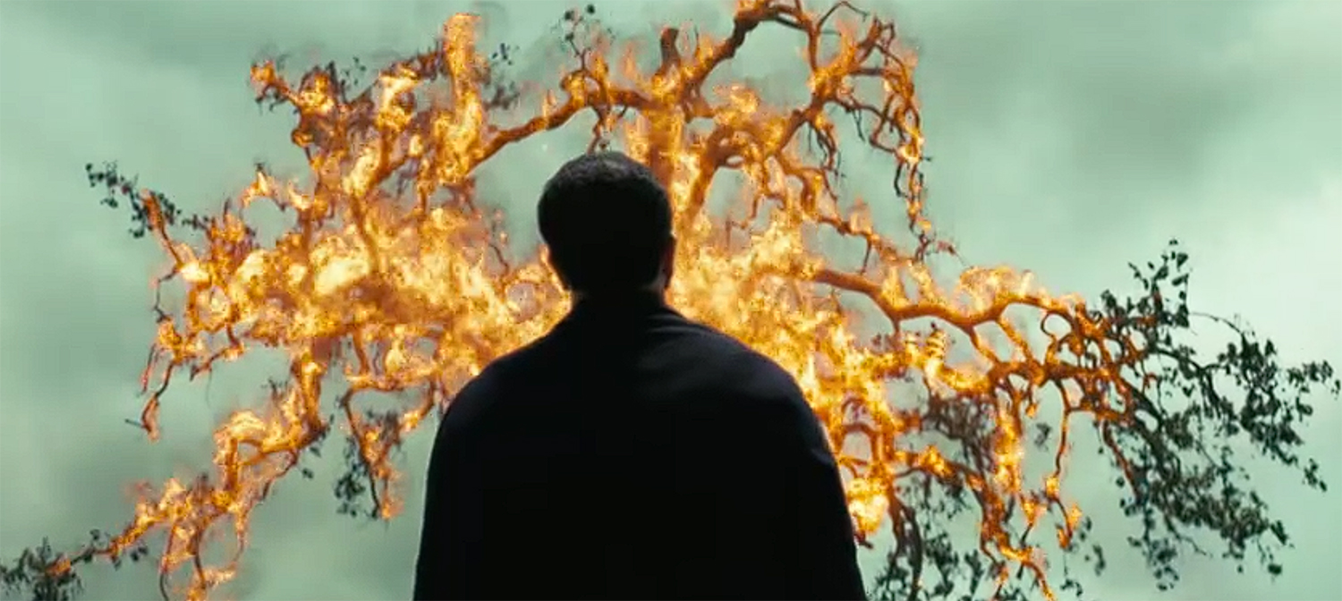 Bernard looks at a burning bush