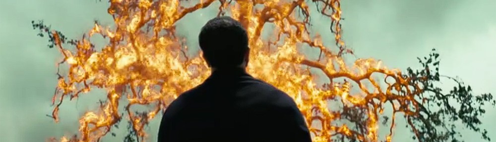 Bernard looks at a burning bush