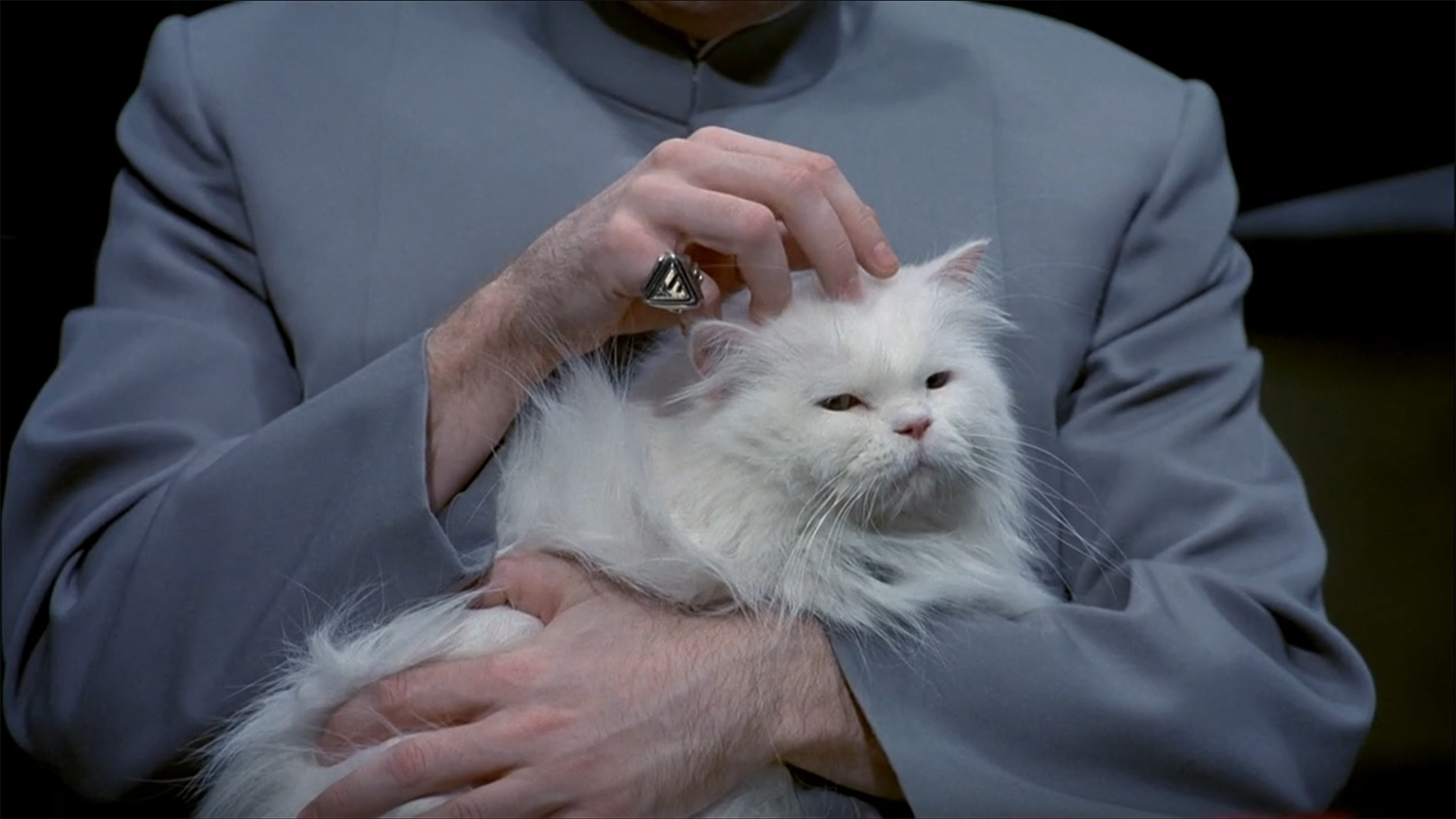Dr Evil and his cat.