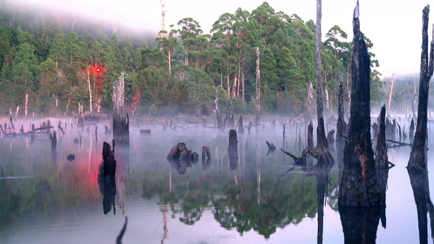 A red beacon shines in the background on a foggy morning.