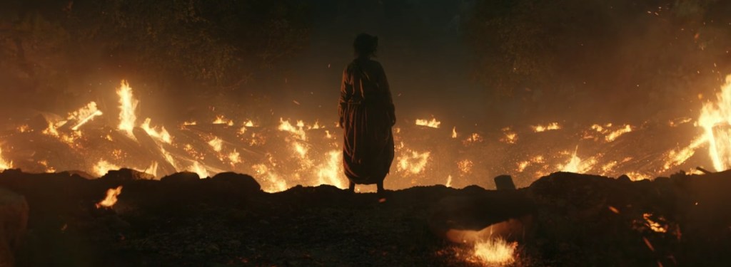 Nori looking into the creator.